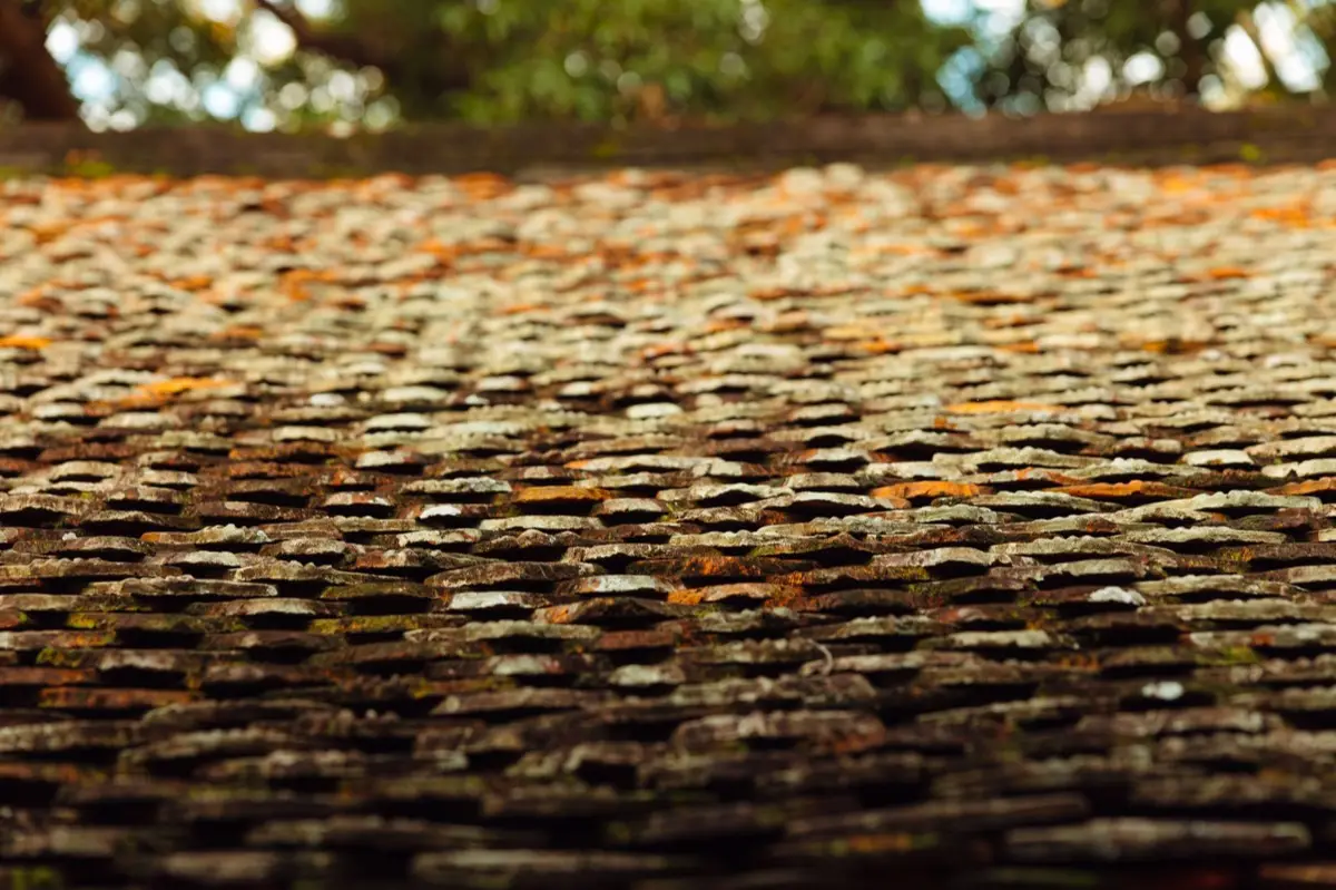 Aging shingle roof with moss growth and granule loss in Tigard, OR